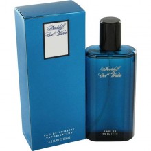Davidoff Cool Water Pour Homme